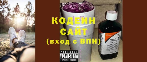 крисы Кодинск