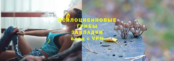 крисы Кодинск