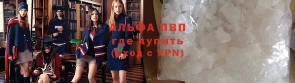 крисы Кодинск