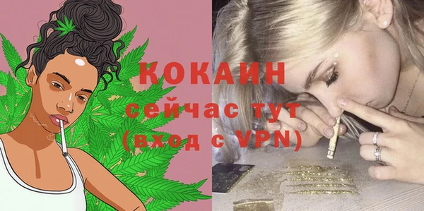 крисы Кодинск