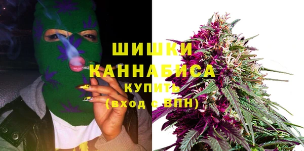 крисы Кодинск