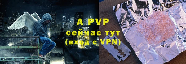 крисы Кодинск