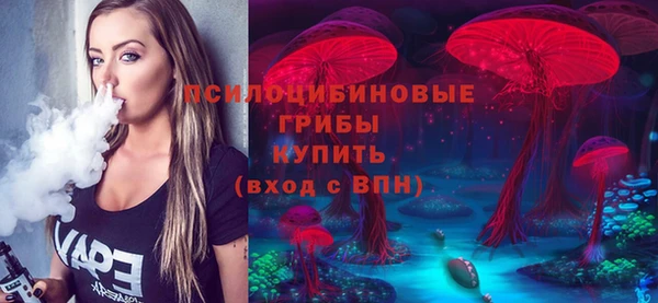 крисы Кодинск