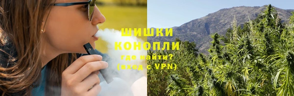 крисы Кодинск