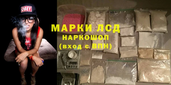 крисы Кодинск