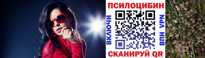цена   Ногинск  Галлюциногенные грибы ЛСД 